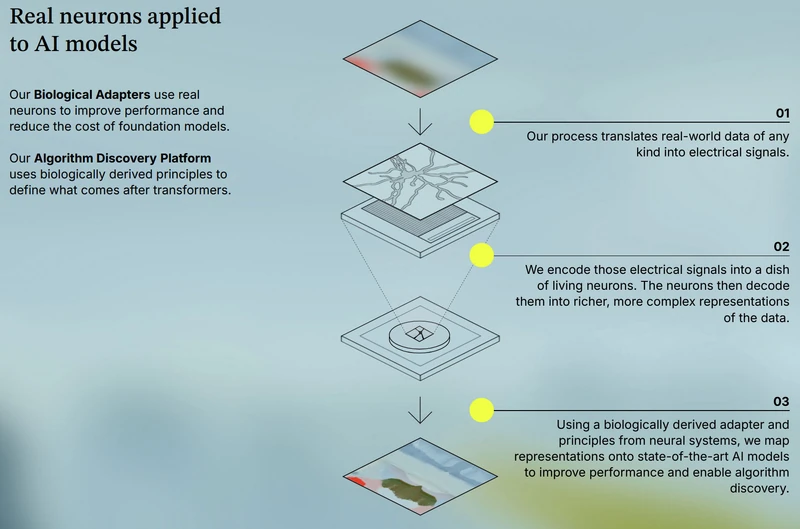 The Biological Computing Company