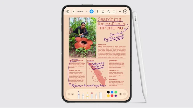 Apple iPhone Duo